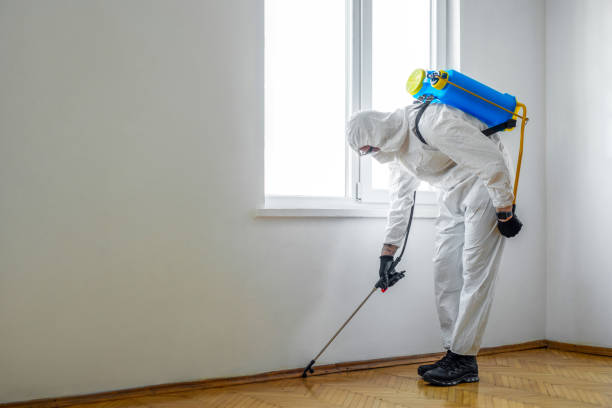 Best Pest Prevention Services  in Peppermill Village, MD