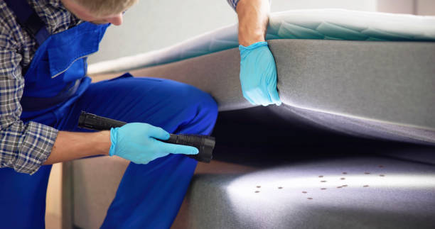 Best Emergency Pest Control  in Peppermill Village, MD