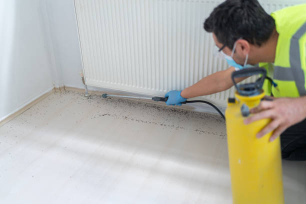 Best Wasp Removal Services  in Peppermill Village, MD